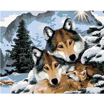 Malování podle čísel - Vlci a zimní krajina (Howard Robinson) (HRAbz33403nad)