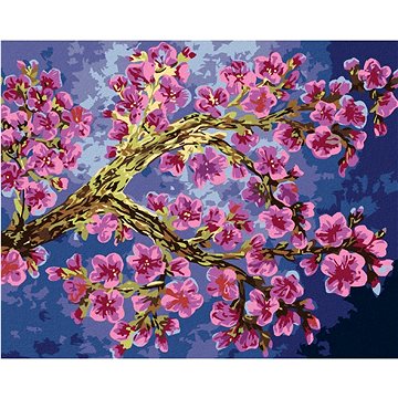 Malování podle čísel - Kvetoucí větev sakury (HRAbz33418nad)