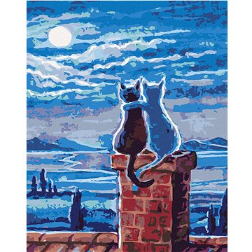 Malování podle čísel - Kočky na střeše a měsíc (HRAbz33425nad)