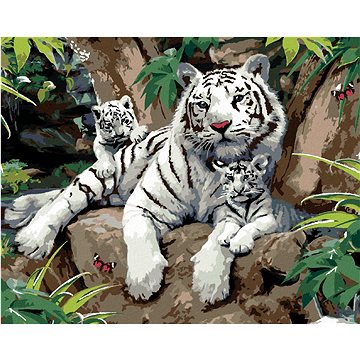 Malování podle čísel - Bílý tygr s mláďaty na kameni (Howard Robinson) (HRAbz33431nad)