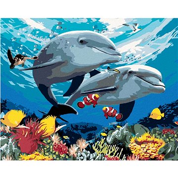 Malování podle čísel - Delfíni a korálový útes (Howard Robinson) (HRAbz33436nad)