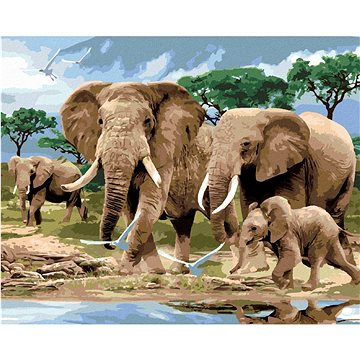 Malování podle čísel - Sloni na savaně (Howard Robinson) (HRAbz33438nad)