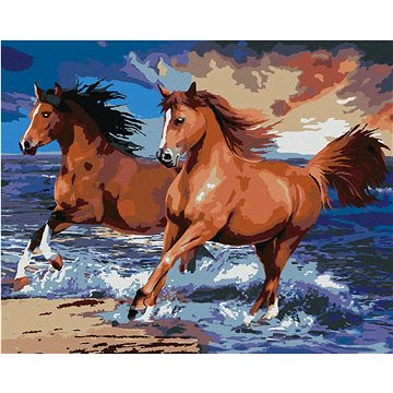 Malování podle čísel - Koně na písečné pláži (Howard Robinson) (HRAbz33440nad)