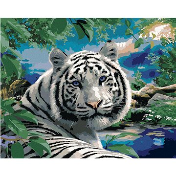 Malování podle čísel - Bílý tygr a divoká příroda (Howard Robinson) (HRAbz33472nad)
