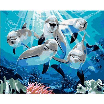 Malování podle čísel - Veselí delfíni (Howard Robinson) (HRAbz33475nad)