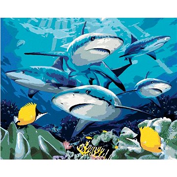 Malování podle čísel - Žraloci a korálový útes (Howard Robinson) (HRAbz33476nad)