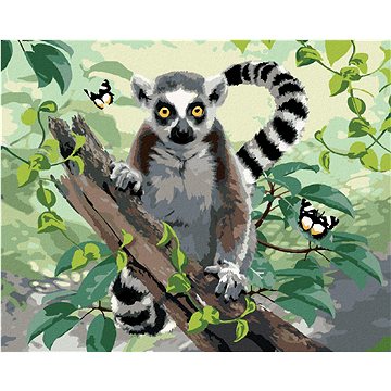 Malování podle čísel - Lemur a motýli (Howard Robinson) (HRAbz33479nad)