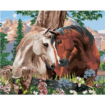 Malování podle čísel - Když se zamiluje kůň (Howard Robinson) (HRAbz33484nad)