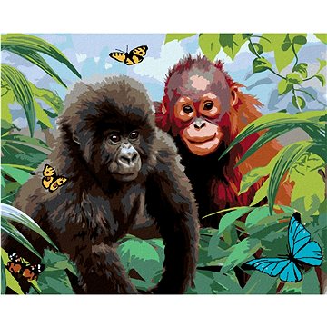 Malování podle čísel - Orangutan a malá gorila (Howard Robinson) (HRAbz33485nad)