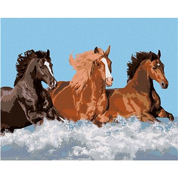 Malování podle čísel - Tři koně ve vodě (HRAbz33490nad)