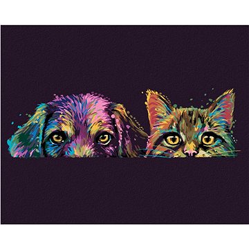 Malování podle čísel - Pes a kočka v barvách (HRAbz33517nad)