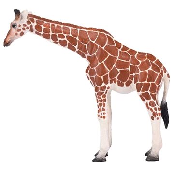 Mojo - Žirafa samice - novinka (5031923810334)