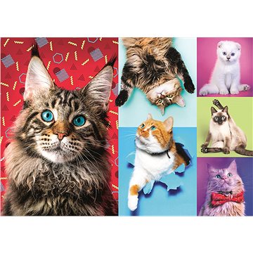 Trefl Puzzle Veselé kočky 1000 dílků (5900511105919)