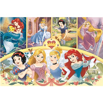 Trefl Puzzle Disney princezny MAXI 24 dílků (5900511142945)