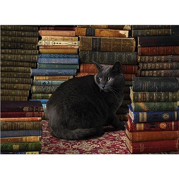 Cobble Hill Puzzle Kočka v knihovně 1000 dílků (625012801249)
