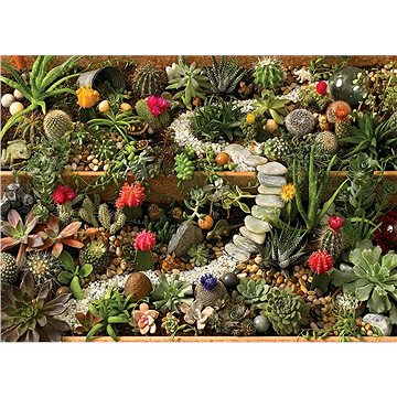 Cobble Hill Puzzle Zahrada sukulentů 1000 dílků (625012801577)