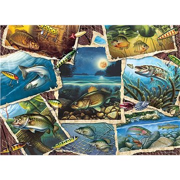 Cobble Hill Puzzle Obrázky ryb 1000 dílků (625012802093)
