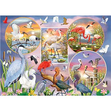 Cobble Hill Puzzle Okouzlující vodní ptáci 1000 dílků (625012802192)