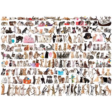 Eurographics Puzzle Svět koček 1000 dílků (628136605809)