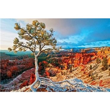 Eurographics Puzzle Grand Canyon - Zimní svítání (HDR) 1000 dílků (628136606929)