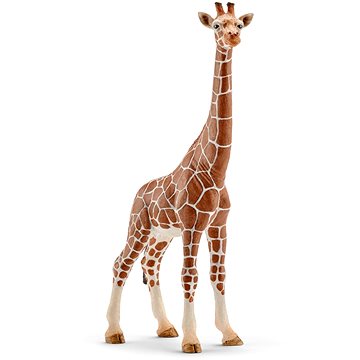 Schleich Samice žirafy 14750 (4005086147508)