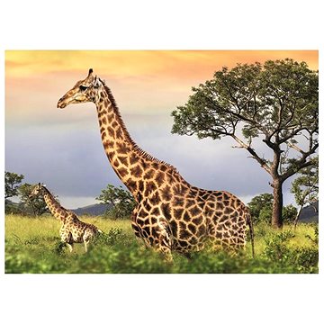 Dino Žirafí rodina 1000 puzzle (8590878532946)