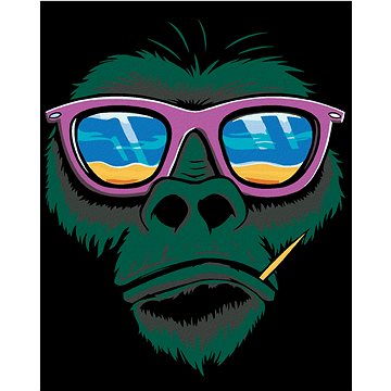 Malování podle čísel - Opice a sluneční brýle (HRAmal00011nad)