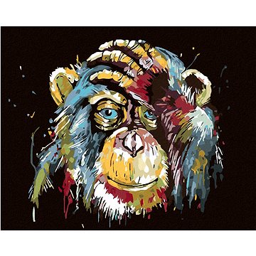 Malování podle čísel - Opice (HRAmal00046nad)