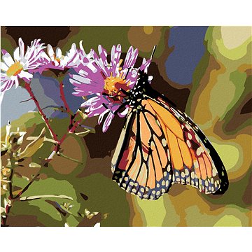 Malování podle čísel - Motýl a kvetoucí květiny (HRAmal00055nad)