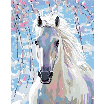 Malování podle čísel - Bílý kůň (HRAmal00063nad)
