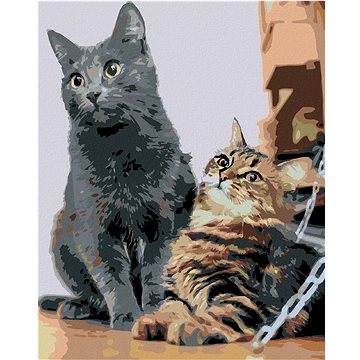 Malování podle čísel - Čekající kočky (HRAmal00080nad)