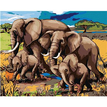 Malování podle čísel - Rodinka slonů (HRAmal00101nad)