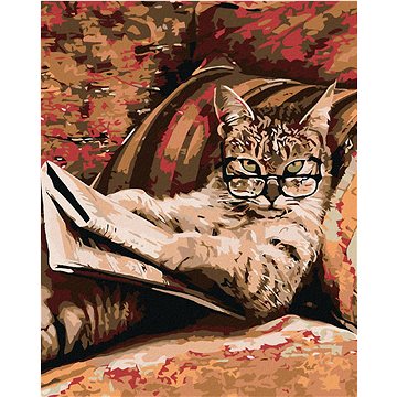 Malování podle čísel - Kočka s brýlemi (HRAmal00107nad)