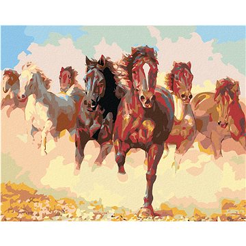 Malování podle čísel - Stádo koní (HRAmal00111nad)