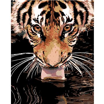 Malování podle čísel - Tygr u vody (HRAmal00143nad)