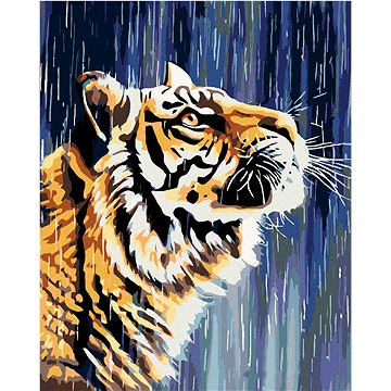 Malování podle čísel - Tygr u vodopádu (HRAmal00159nad)