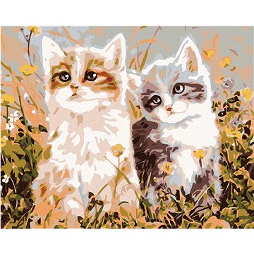 Malování podle čísel - Koťata a luční kvítí (HRAmal00167nad)