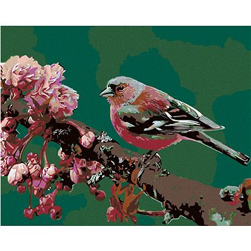 Malování podle čísel - Kvetoucí sakura a růžový ptáček (HRAmal00233nad)