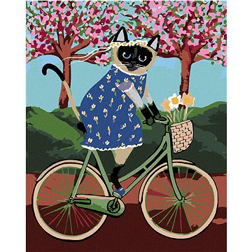 Malování podle čísel - Kočička na kole (HRAmal00258nad)
