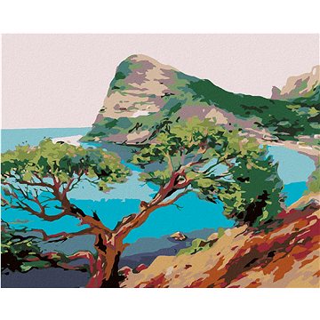 Malování podle čísel - Vzrostlý strom u moře (HRAmal00259nad)