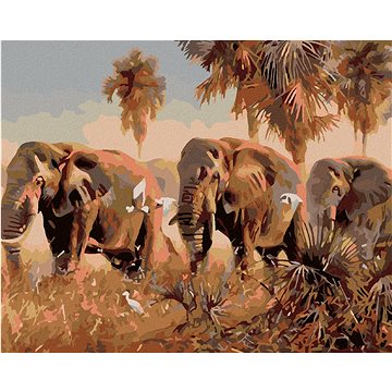 Malování podle čísel - Sloni v savaně (HRAmal00279nad)