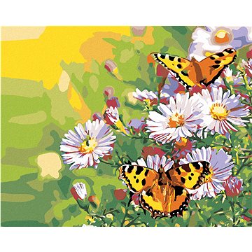 Malování podle čísel - Motýlci na kopretinách (HRAmal00420nad)