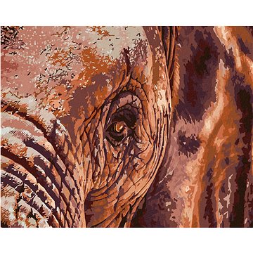 Malování podle čísel - Sloní pohled (HRAmal00425nad)