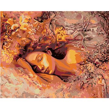 Malování podle čísel - Spící žena (HRAmal00476nad)