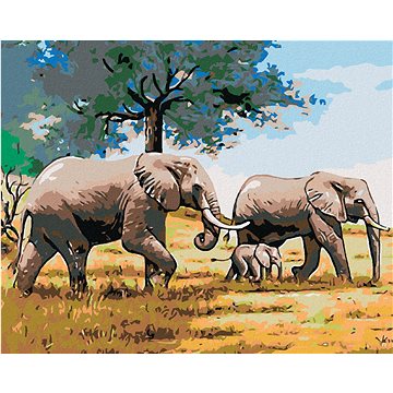 Malování podle čísel - Sloní rodinka (HRAmal00511nad)