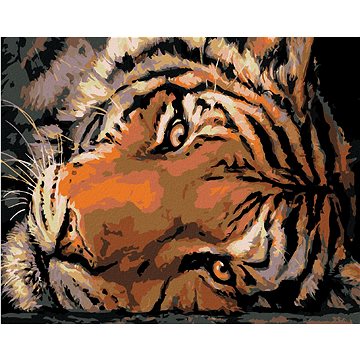 Malování podle čísel - Jasný tygří pohled (HRAmal00612nad)