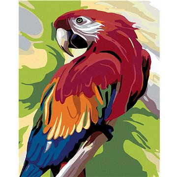 Malování podle čísel - Barevný papoušek (HRAmal00644nad)