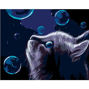 Malování podle čísel - Kočka a bubliny v noci (HRAmal00682nad)