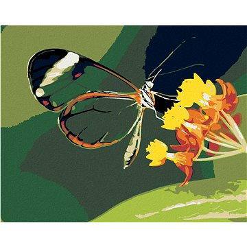 Malování podle čísel - Motýl a květiny (HRAmal00701nad)