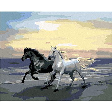 Malování podle čísel - Koně na pláži (HRAmal00727nad)